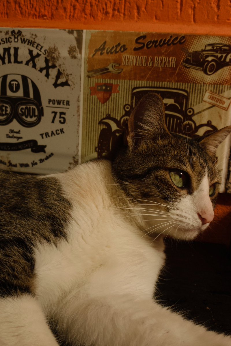 Kary ✰ tweet media