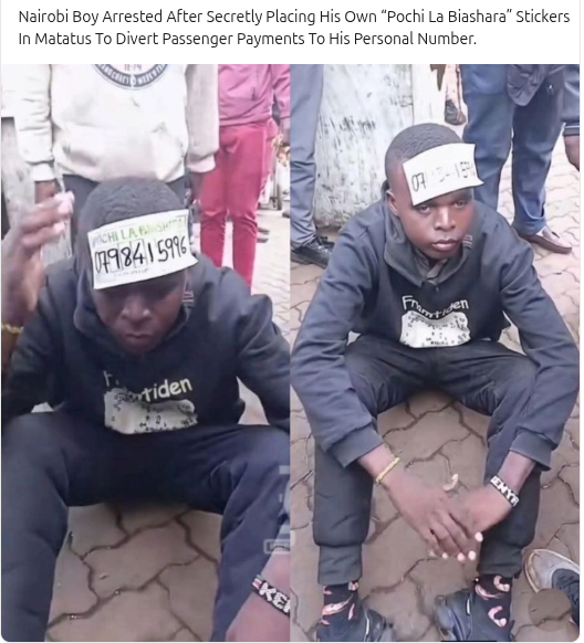 Benja 2.0 tweet media