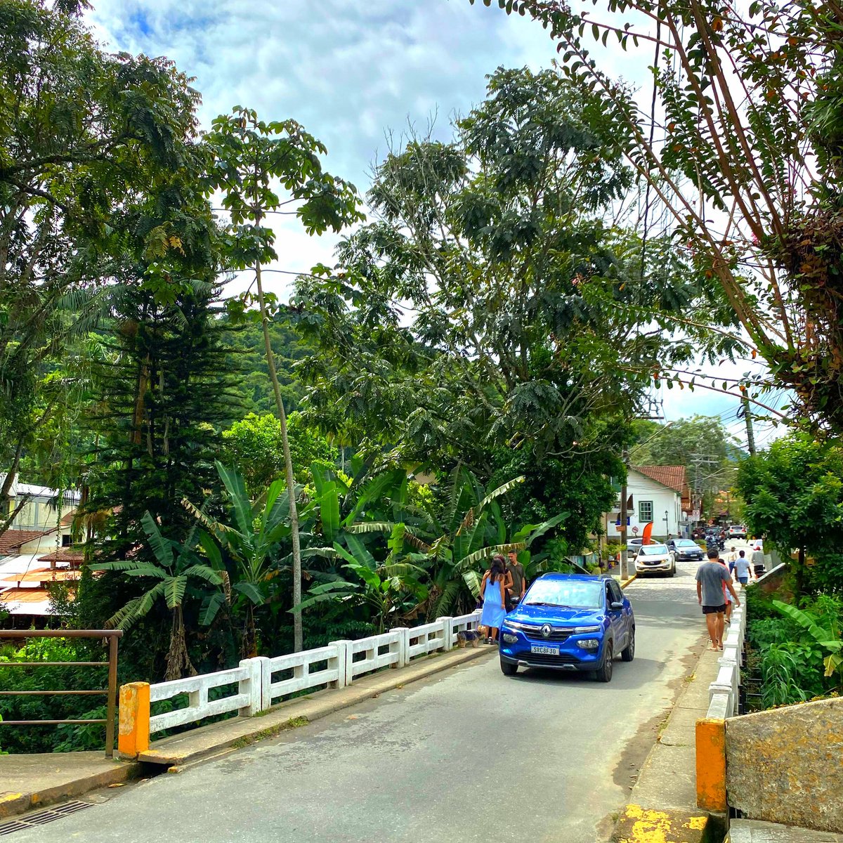Edipo_Amaral's tweet photo. 🛣️ A RJ-142, Estrada Serramar 🚗, conecta serra e litoral 🌊 em um dos trajetos mais cênicos do estado 📸✨.

🌿 A via corta vales ⛰️, rios 💧🌊 e distritos como Lumiar 🏡🌼 e São Pedro da Serra 🌳, sendo acesso a destinos naturais e ao ecoturismo 🥾🌿.

#SerraFluminense https://t.co/lHg7B83kqF