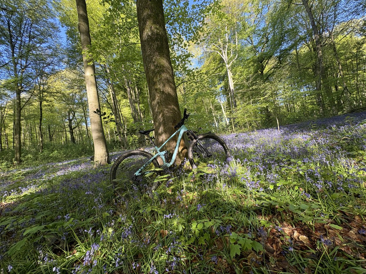 marcotunix's tweet photo. Reprise en douceur du VTT 🚴‍♂️
Après l’arrêt depuis décembre (dos), on repart tranquille 💪

#vtt #reprise #sport #motivation #mtb https://t.co/Un0gfmf0jv