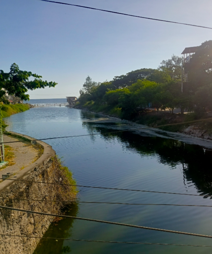 Monika Silva K. tweet media