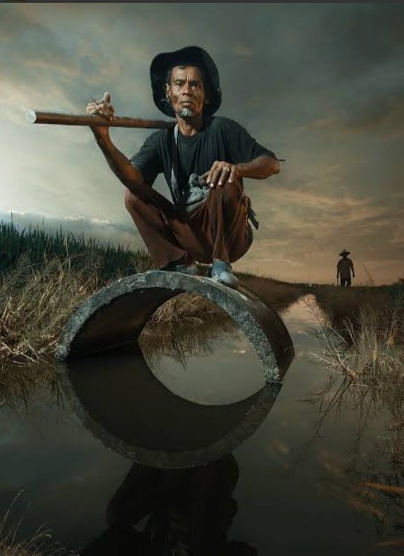 c_callose's tweet image. A reminder that stability often comes from balance. #The quiet dignity of a farmer.