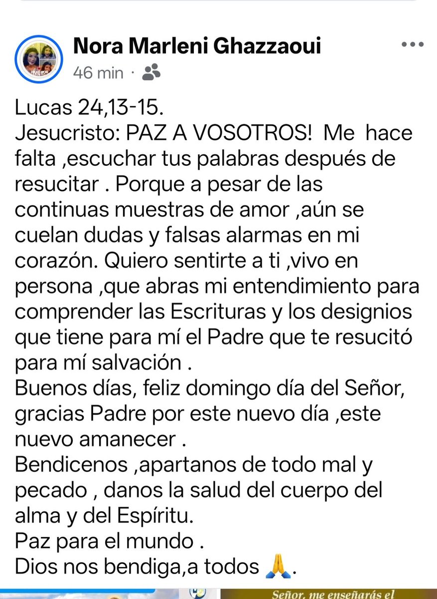 En este Evangelio ( el camino de Emaus) destaca como Jesús se hace presente en medio del dolor y la decepción. Los discípulos,abatidos ,no reconocen al resucitado hasta la fracción del pan. Jesús camina con nosotros,incluso cuando no lo notamos .
Buen domingo #hermanos , bds 🙏.