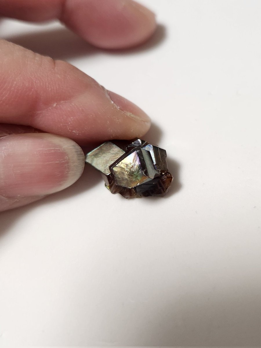 じゅんこ　浅草石フリマ5/16土のみ6階W-1,2「石部」 tweet media