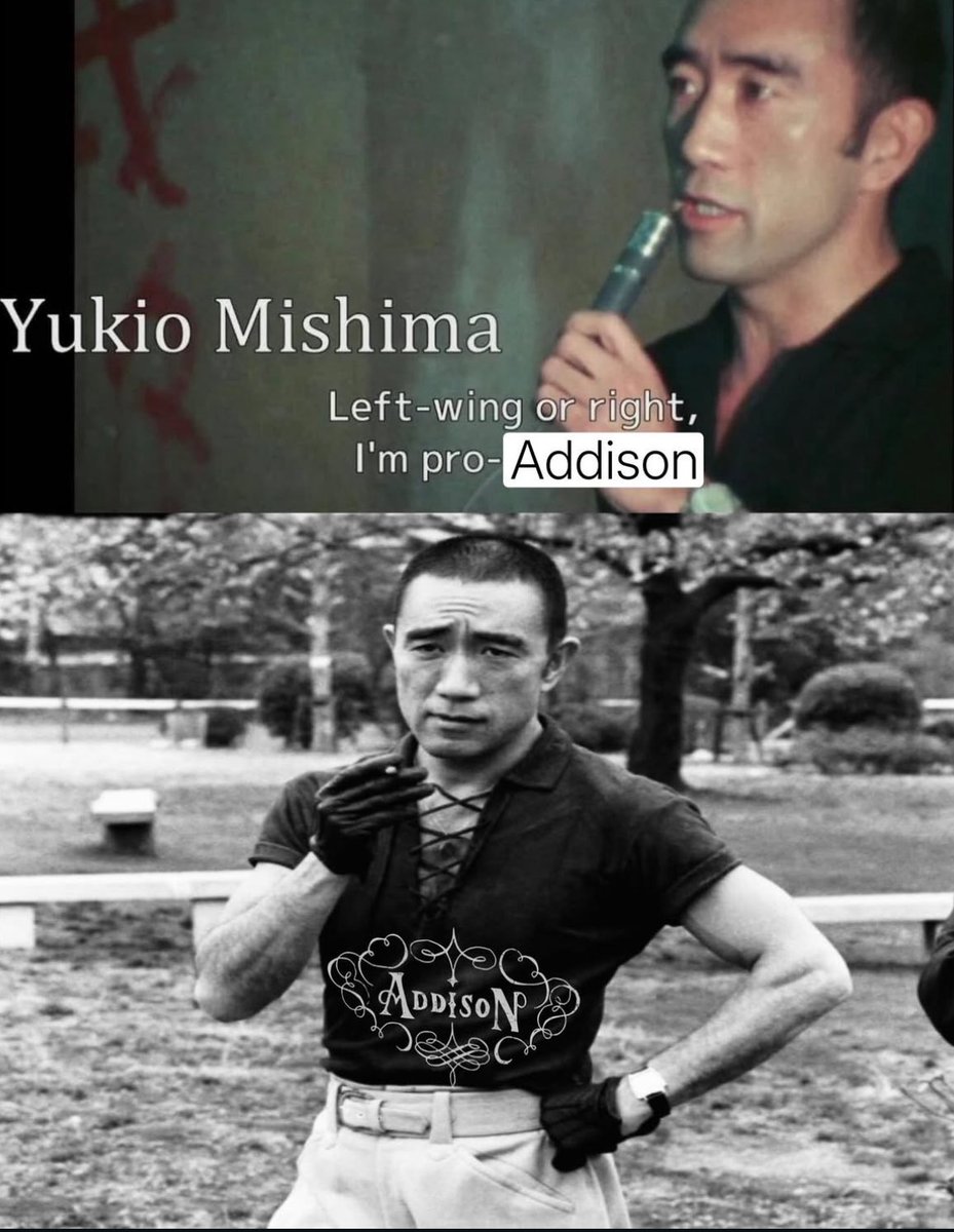 ellaina 🌷☆♪ tweet media