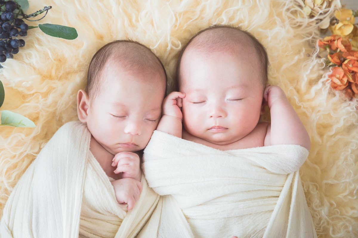 みき けいこ〈広島の出張撮影カメラマン〉 tweet media