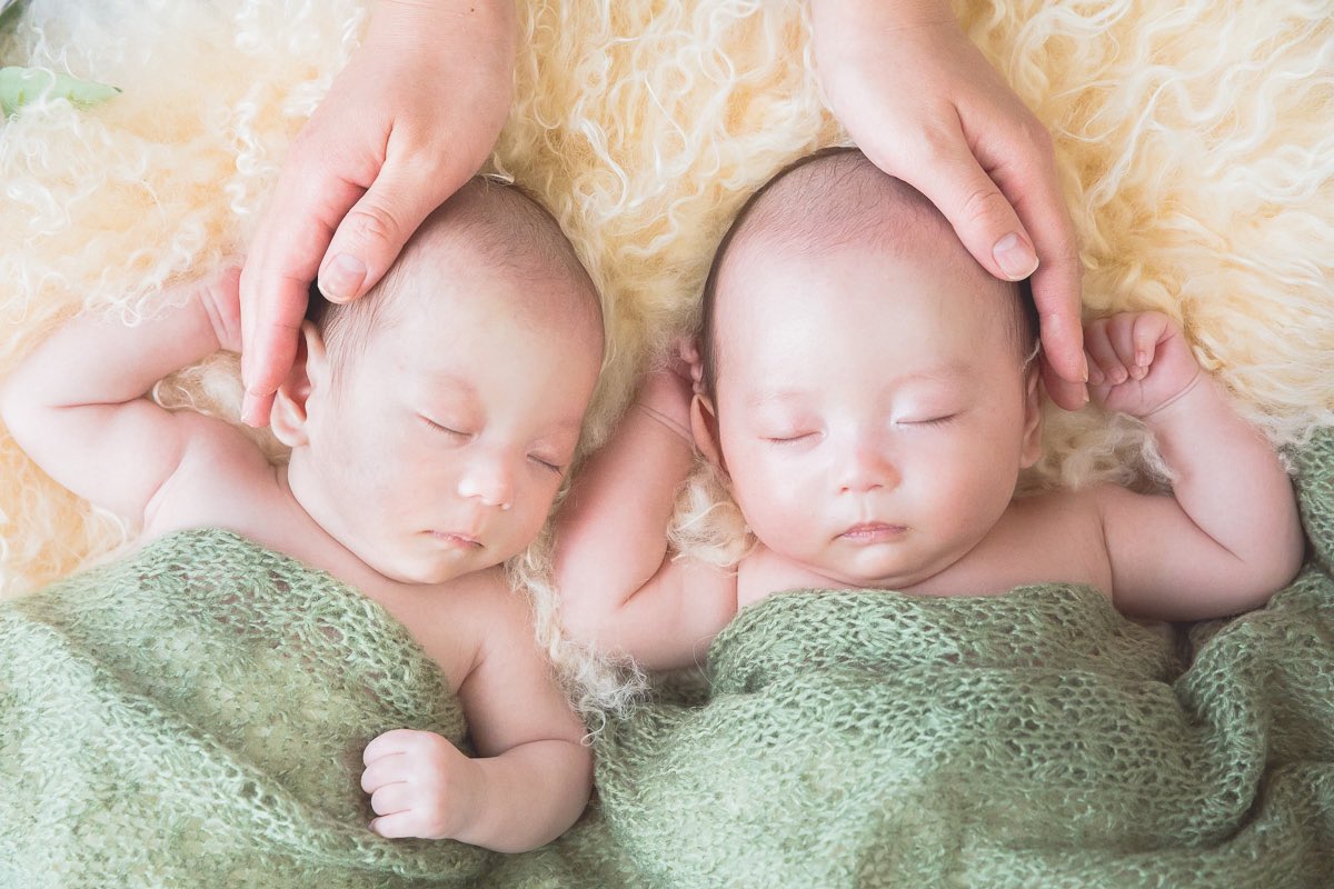 みき けいこ〈広島の出張撮影カメラマン〉 tweet media