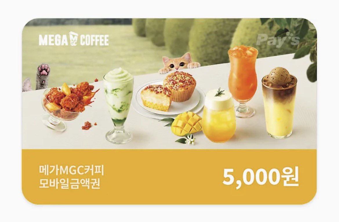 C.옹심 tweet media