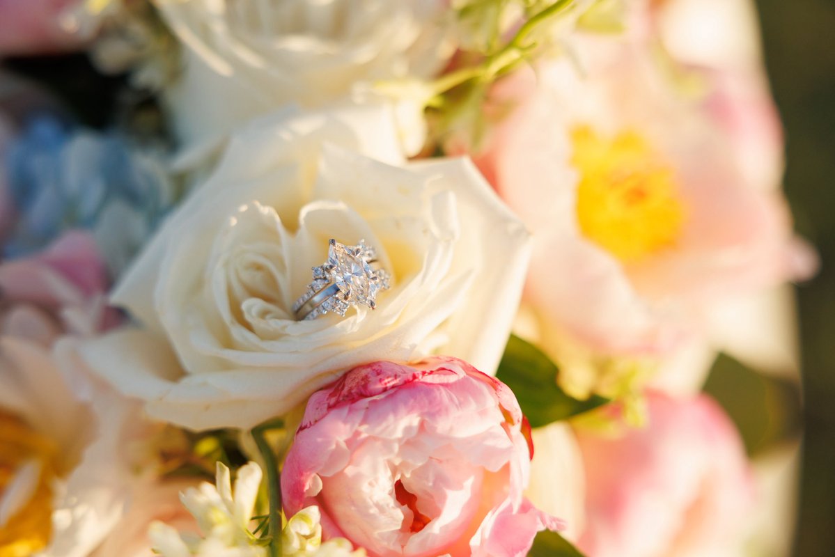 Tan the Clydesdale 🐎 tweet media