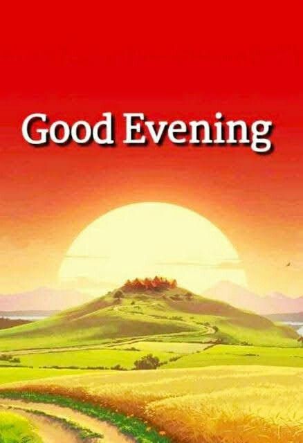 🦋 Laraib Fatima 🦋 tweet media