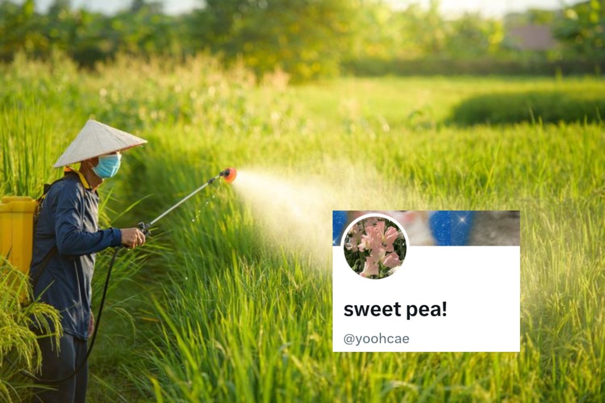 Matthew. tweet media