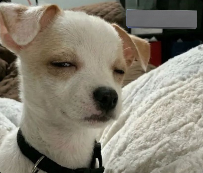 OSAS🦅 tweet media