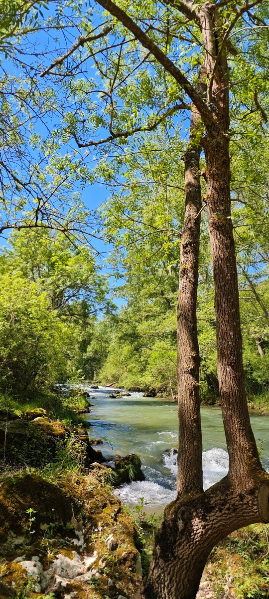 EnnaSwan's tweet photo. El río y los frutales, el sonido del agua y de los pájaros y de la brisa y  mi respiración cansada. El abrigo de la piedra fría me obliga a reiniciar el camino, cargado y pesado de humedad. Hubo tormenta al amanecer. Brotan nubes sobre las cumbres, blancas y gorditas. Va a llover https://t.co/dooqu54wPB