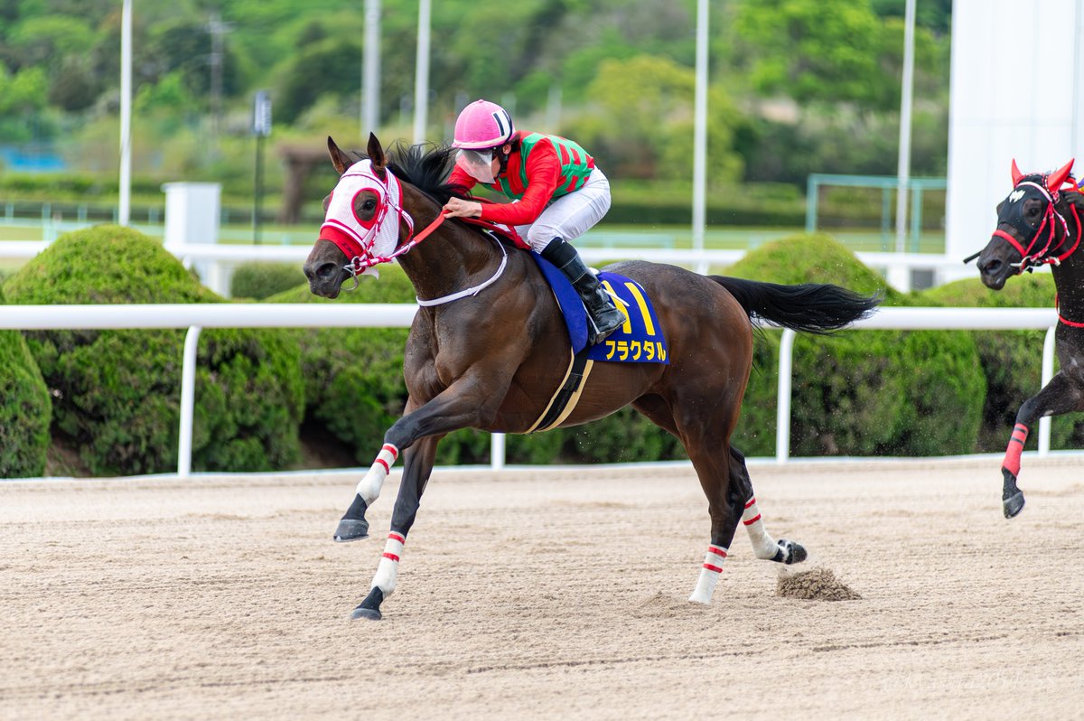kyasara2011_ss's tweet photo. 2026/04/19 佐賀競馬 04R
東スポ競馬Ｗｅｂ杯
第1回 佐賀城下スプリント3歳オープン

優勝馬 フラクタル/渡邊竜也 騎手

#佐賀競馬
#さがけいば
#サガデーナイト競馬
#フラクタル
#渡邊竜也 https://t.co/vI8SE7JbPV