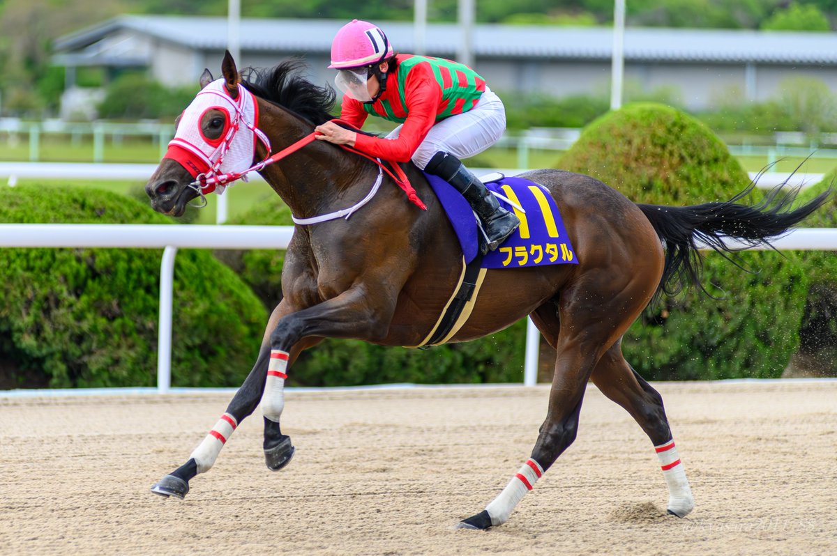 kyasara2011_ss's tweet photo. 2026/04/19 佐賀競馬 04R
東スポ競馬Ｗｅｂ杯
第1回 佐賀城下スプリント3歳オープン

優勝馬 フラクタル/渡邊竜也 騎手

#佐賀競馬
#さがけいば
#サガデーナイト競馬
#フラクタル
#渡邊竜也 https://t.co/vI8SE7JbPV