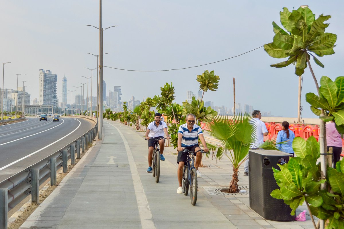 Melissa & Chris Bruntlett tweet media