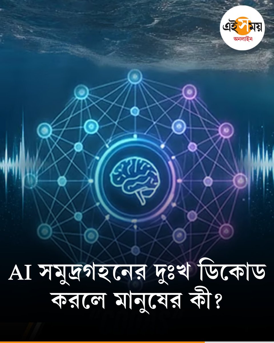 Ei_Samay's tweet image. তিমির ভাষার অনুসন্ধানে একদল গবেষক
➡️ eisamay.com/blog/earth-spe…

#eisamayonline #EiSamay