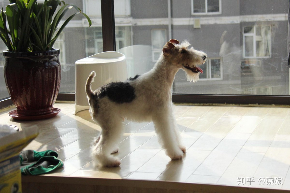 flax seed tweet media