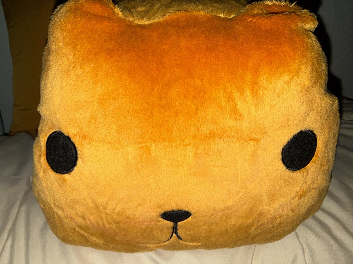 긍졍이 tweet media