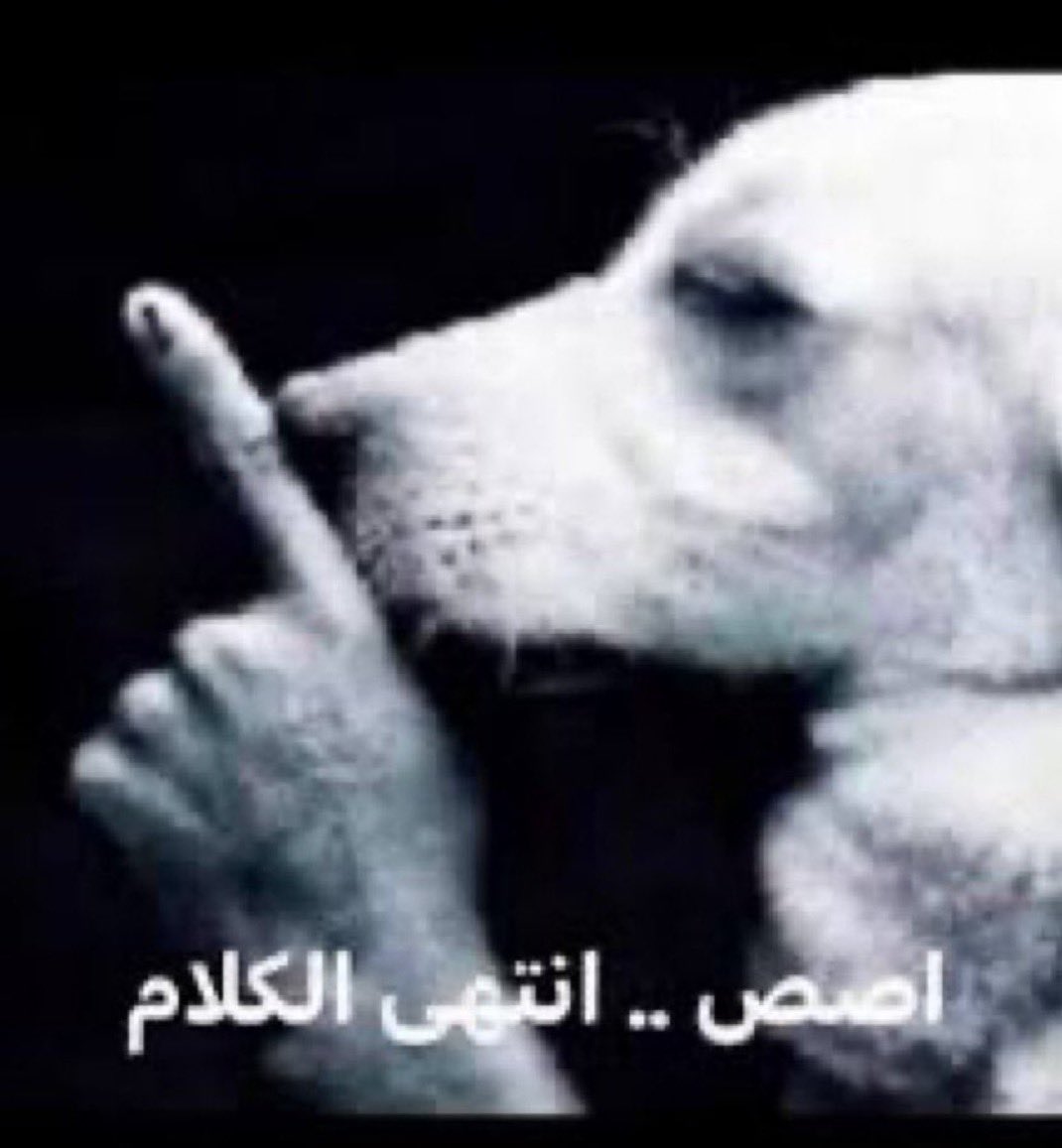 Abu saqer 🦅 tweet media