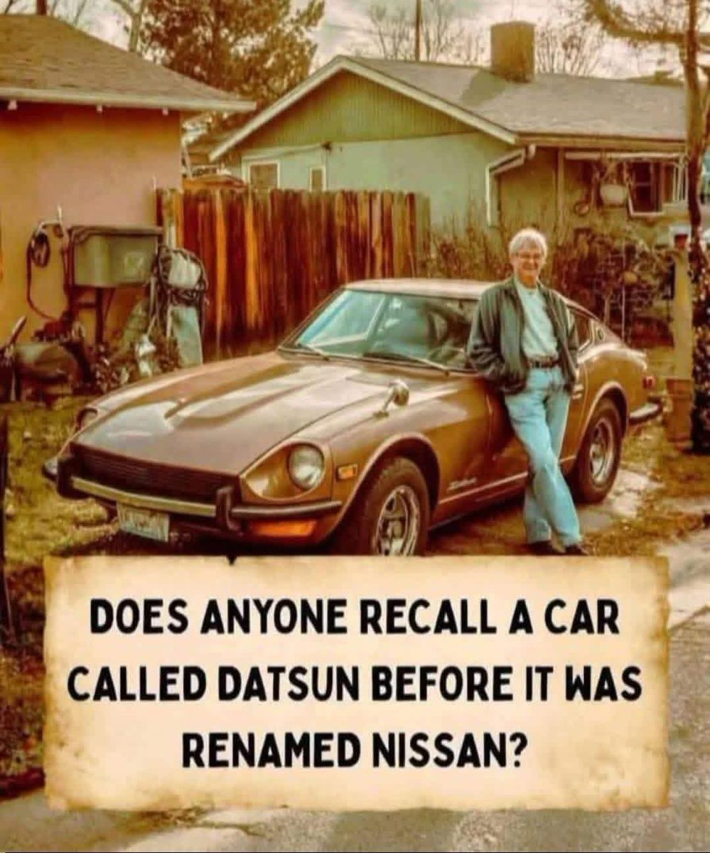 Alice 👑 tweet media