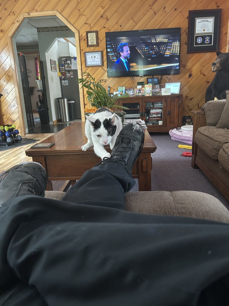 TheSprinklesCat's tweet image. I was smelling something on Daddy's boots! Meowmy is gonna be mad if he gets something on the floor! Hope mew have a purrfect #FundaySunday! #Cowcat #CatsOfTwitterX #AdoptDontShop #StaySafeFurrends