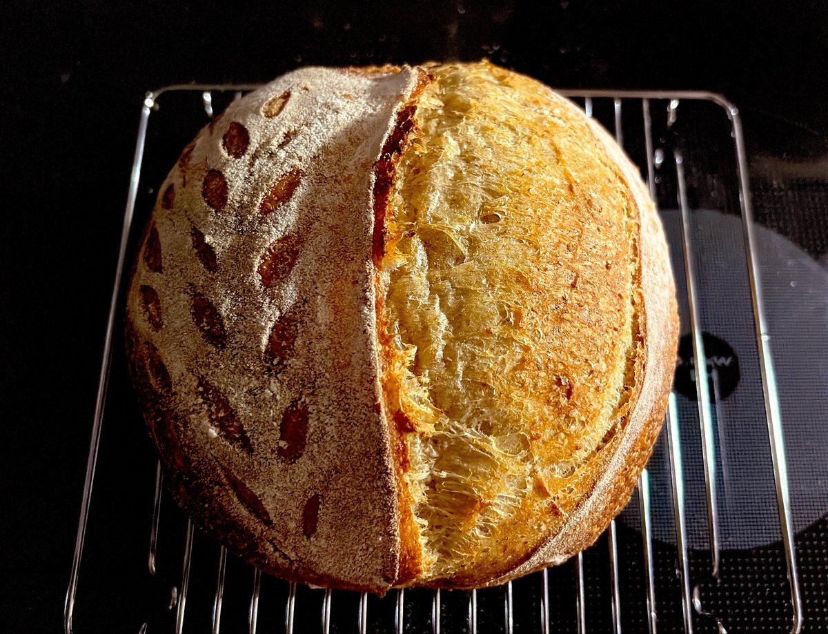 🦇カタヤマ tweet media