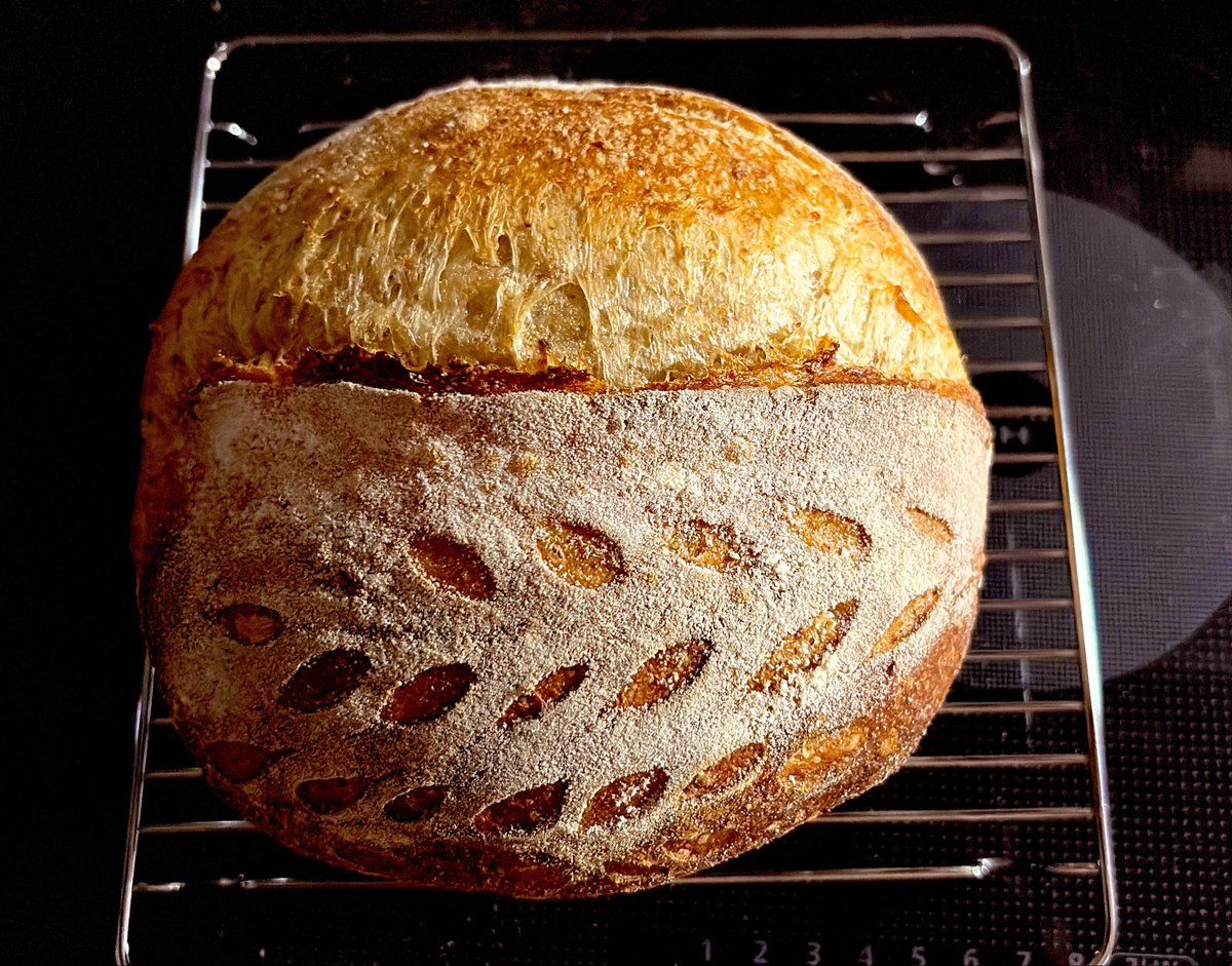 🦇カタヤマ tweet media