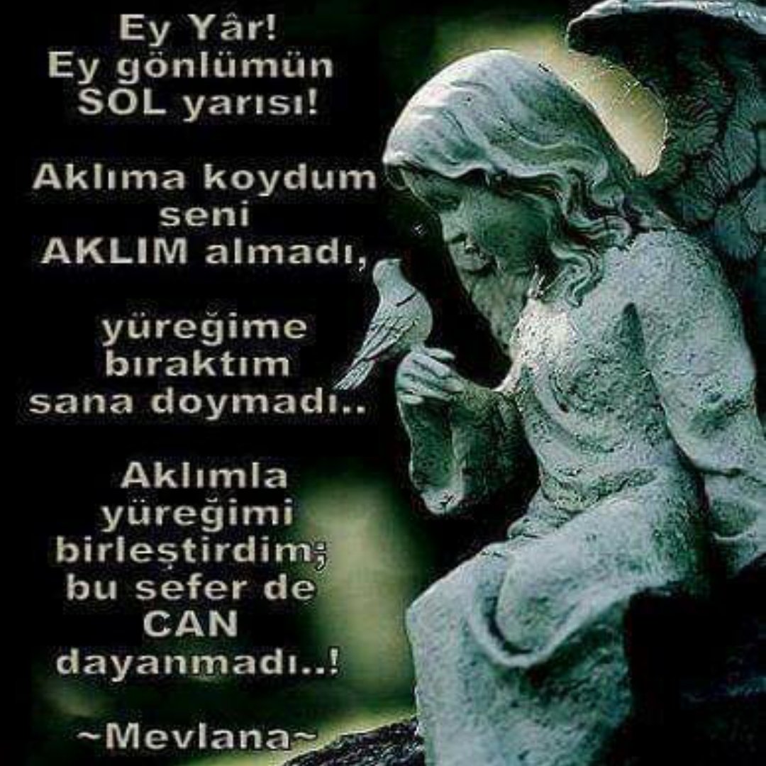 Kirpiğinin gölgesinden öperim...
Yağmur güzelim, demim, sevgilim...
Yüreğimde tüten meşk-i hasretim...
Bir anlık görsem tutulur dilim...
Ömrümün bereketi, nimetim, âh senim...
Ayrılığın sancısını çeker gözbebeğim...
Zifir zindan gecelerde üç beş nöbetim...