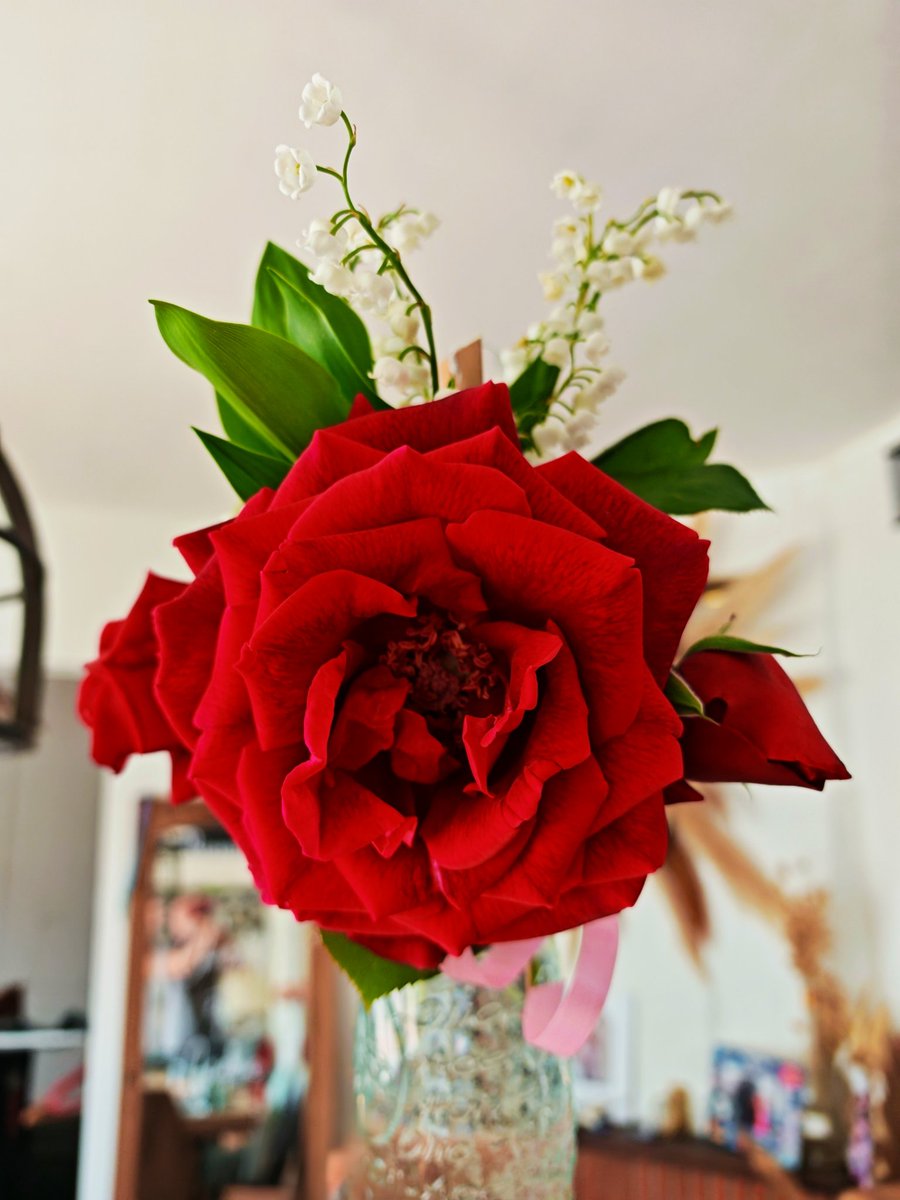 donylandes's tweet image. Lily of the valley and rose from the garden / muguet et rose du jardin 🌹
#Spring #printemps 19 avril 2026