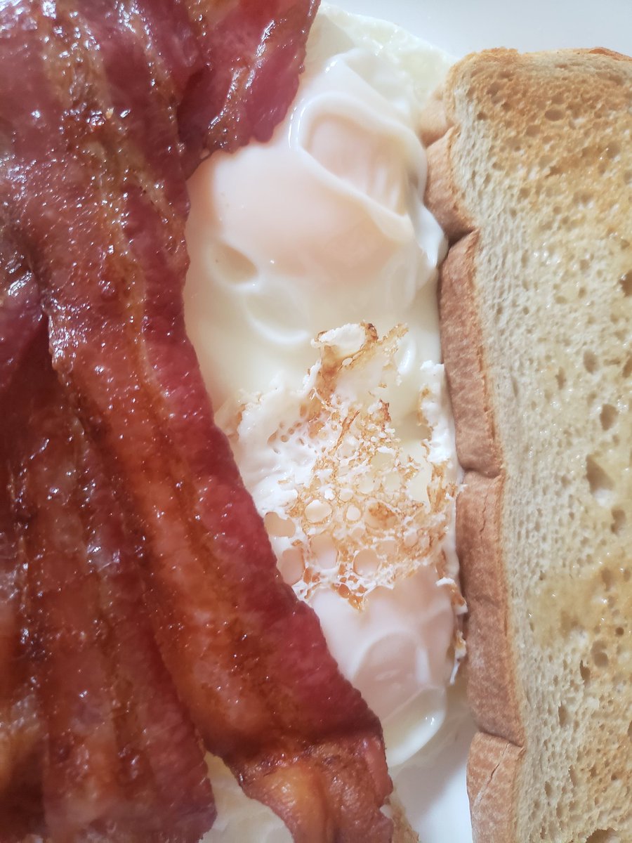 crustacean101's tweet photo. #edtwt #getfat #getbig #thinspo #mywifeleft https://t.co/r3zYM6w52s