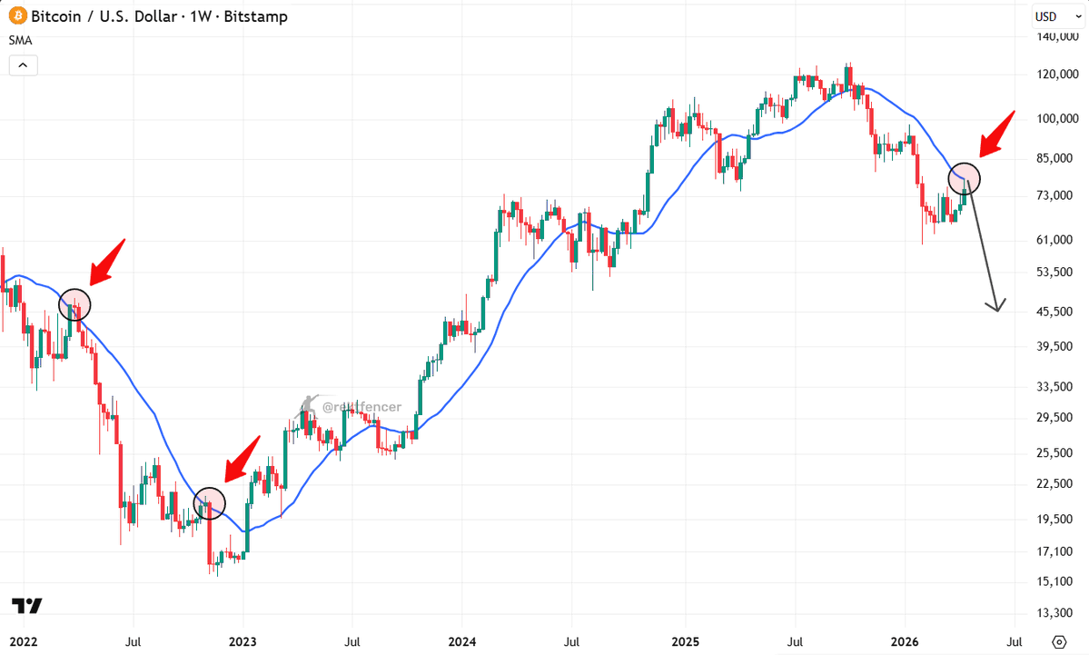 Rekt Fencer tweet media