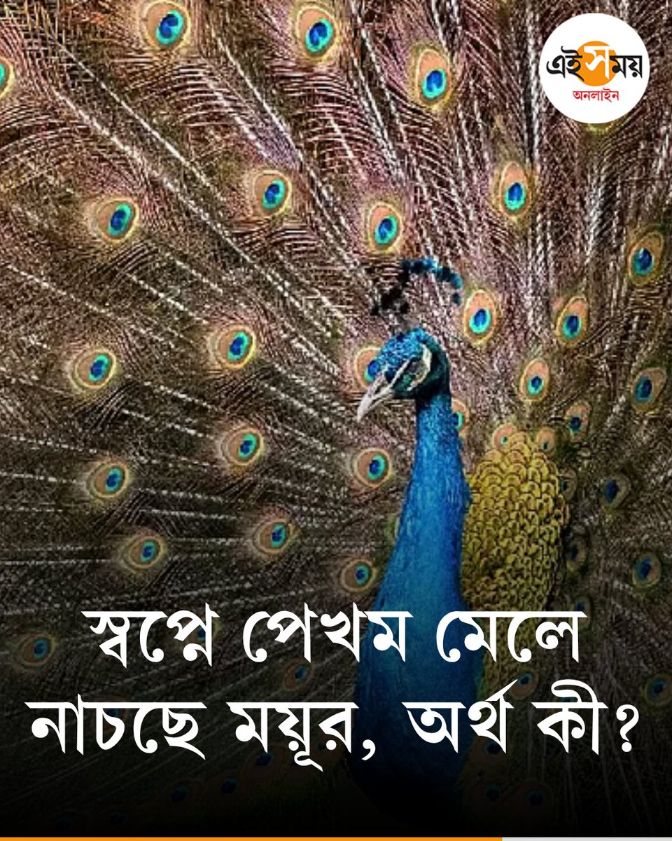 Ei_Samay's tweet image. স্বপ্নে ময়ূর দেখা ভালো?
➡️ eisamay.com/astrology/reli…

#eisamayonline #EiSamay