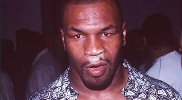 zou⁷ 🪭 tweet media