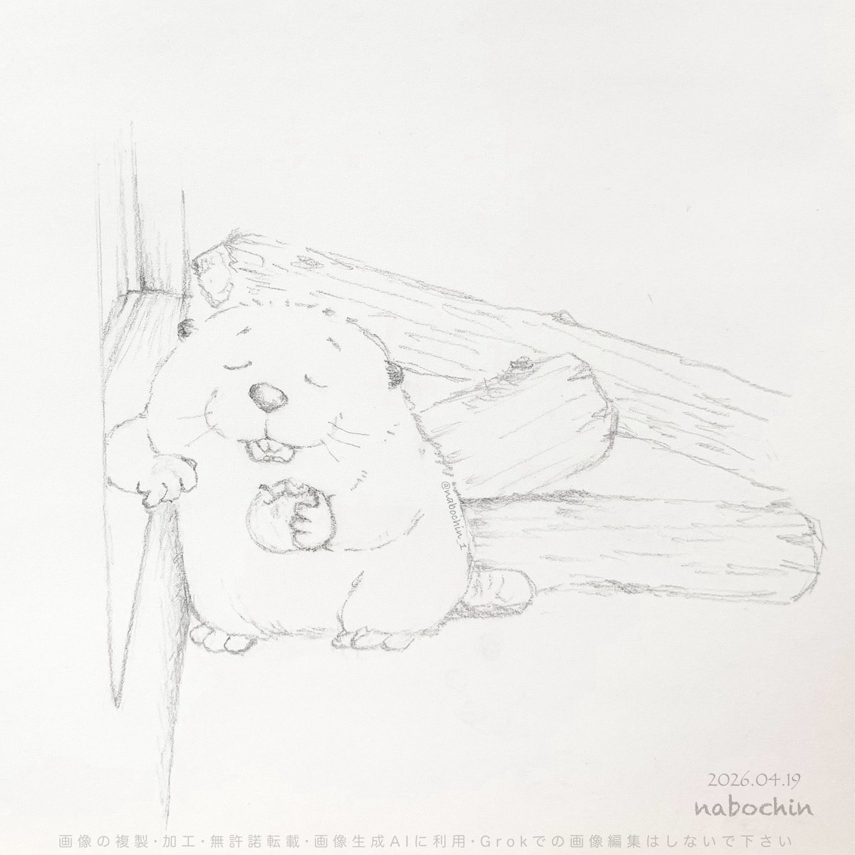 nabochin_1's tweet image. 🪵   🍎  🦫  ✍🏻  fan art
#ビーバー #beaver #イラスト