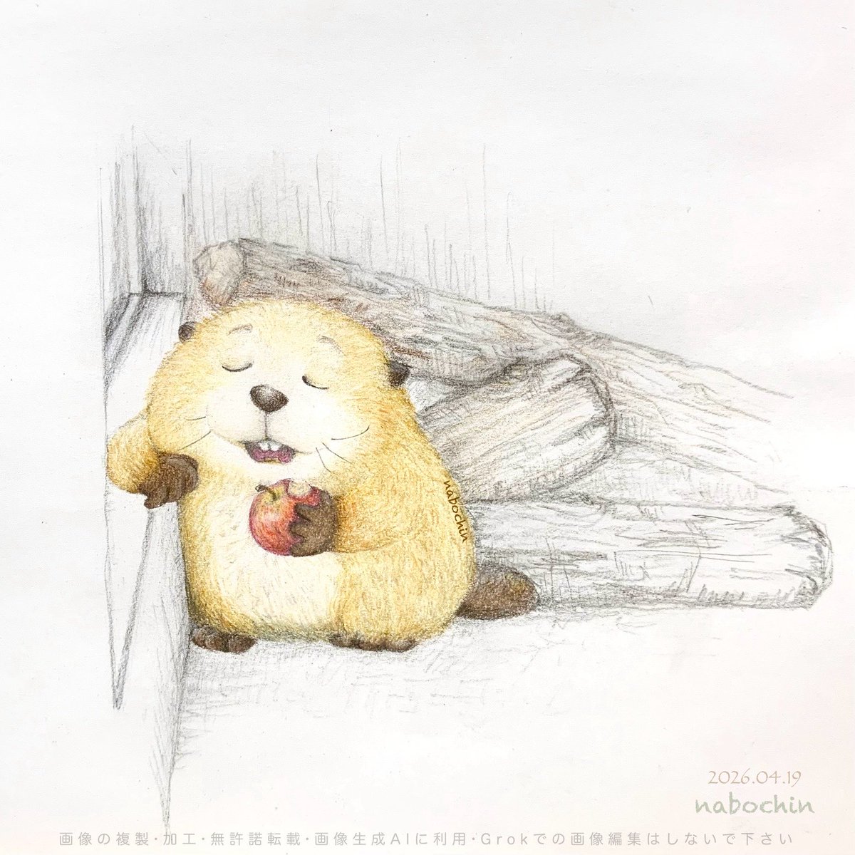 nabochin_1's tweet image. 🪵   🍎  🦫  ✍🏻  fan art
#ビーバー #beaver #イラスト