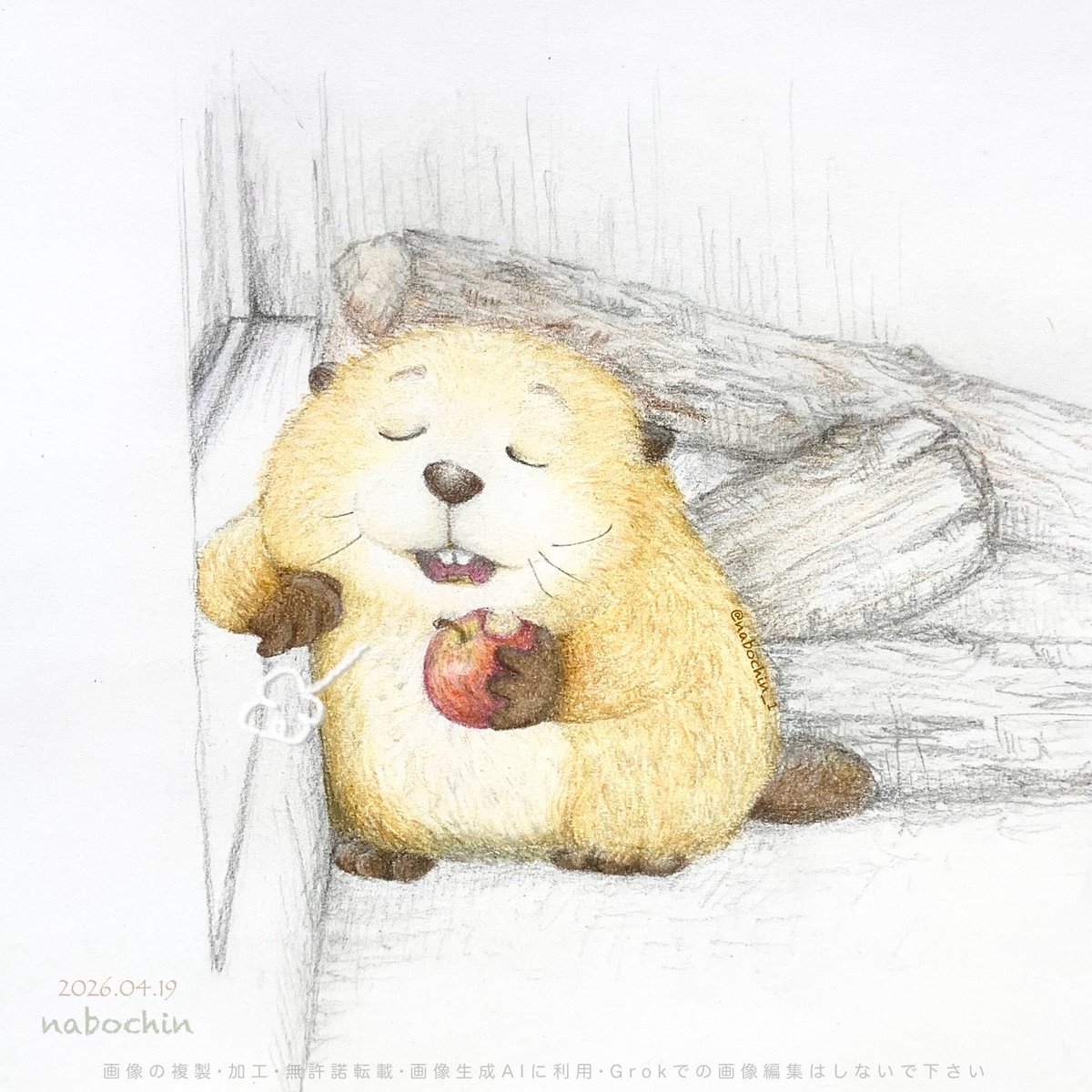 nabochin_1's tweet image. 🪵   🍎  🦫  ✍🏻  fan art

 『 ふ〜  ひと休み  ひと休み 🍎 』

#ビーバー #beaver #イラスト