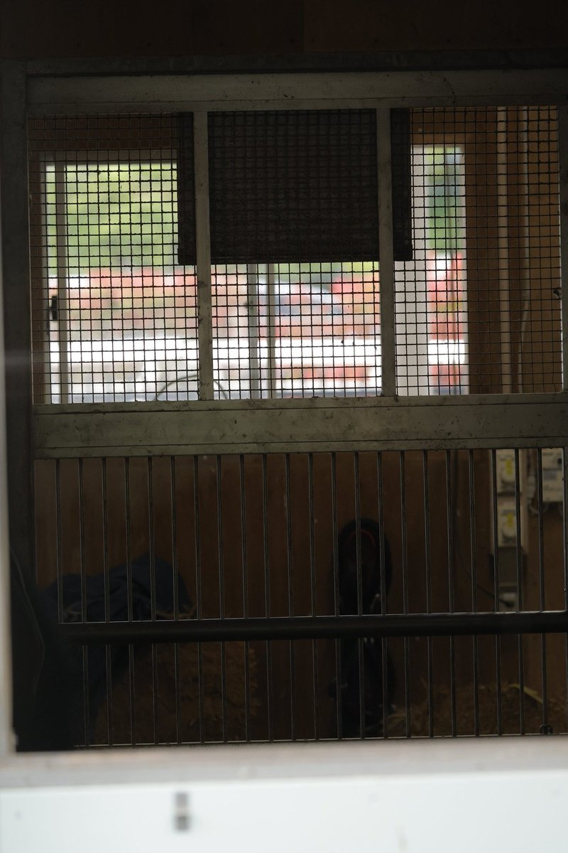 なしのき tweet media