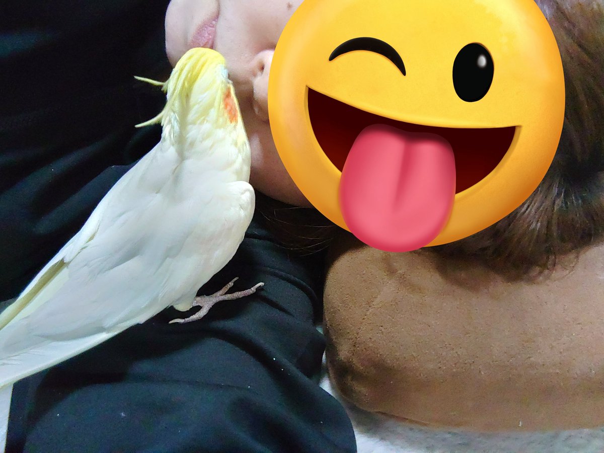 レイル tweet media