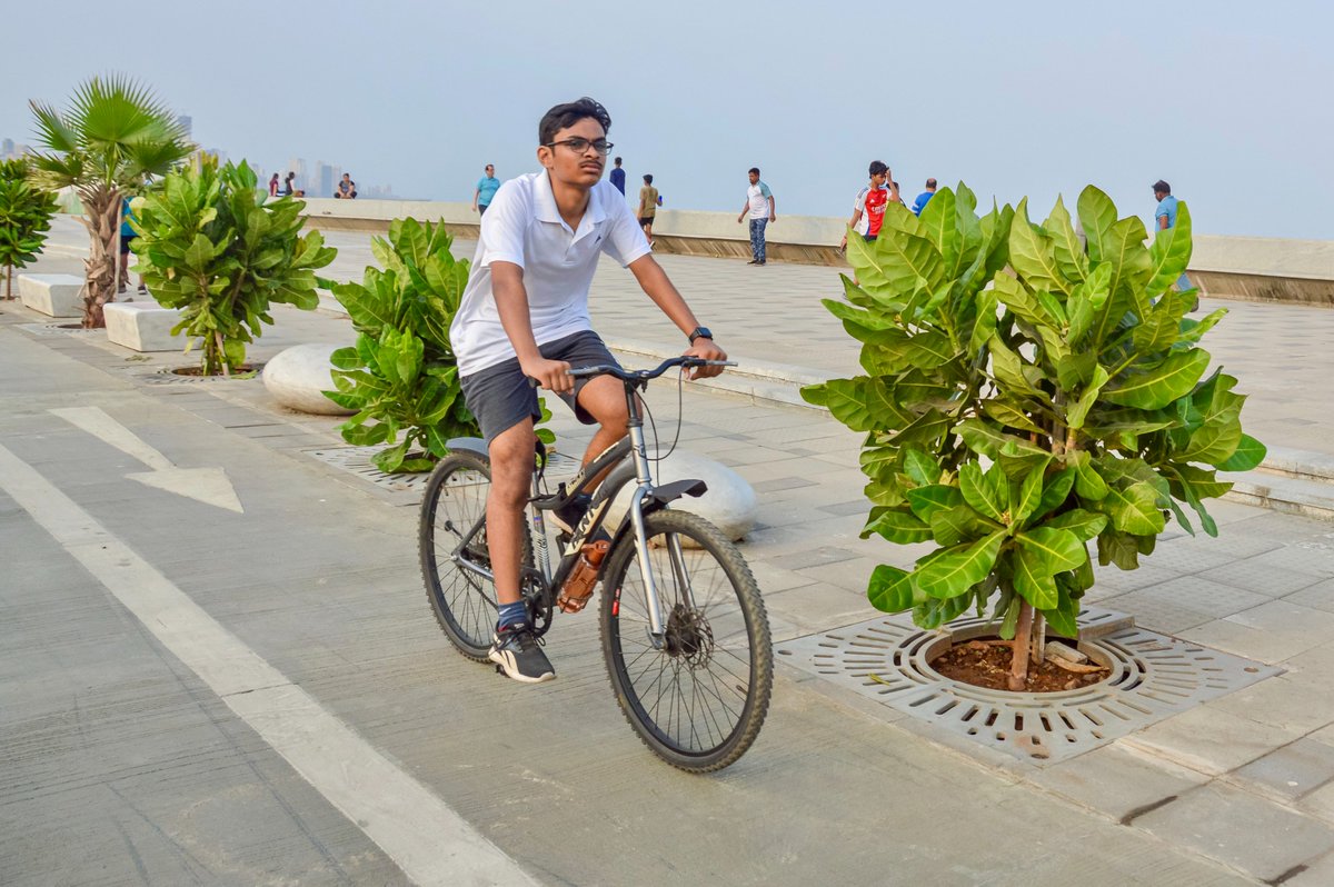 Melissa & Chris Bruntlett tweet media