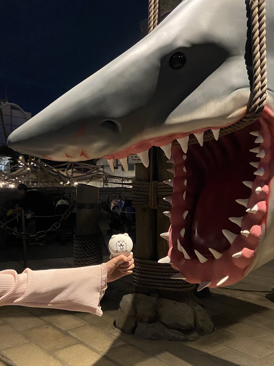 ふめポ tweet media