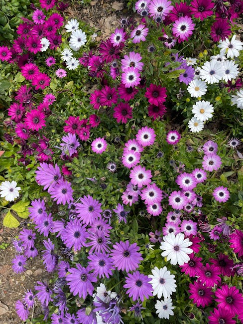 Richard Vazquez tweet media