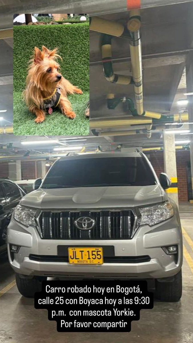 💥Paola💥 tweet media