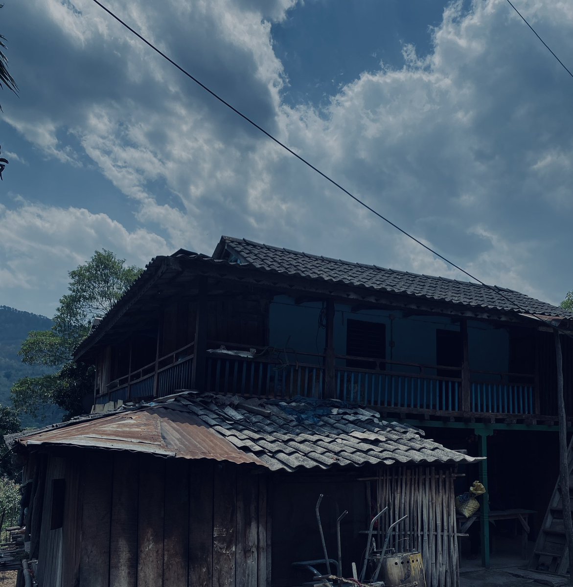 ⋆˚✿Evaaa𐙚⋆˚ tweet media