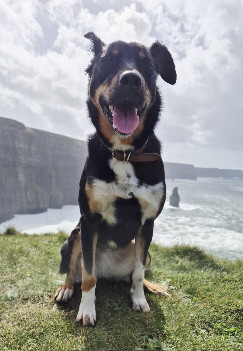 Cormac's Coast tweet media