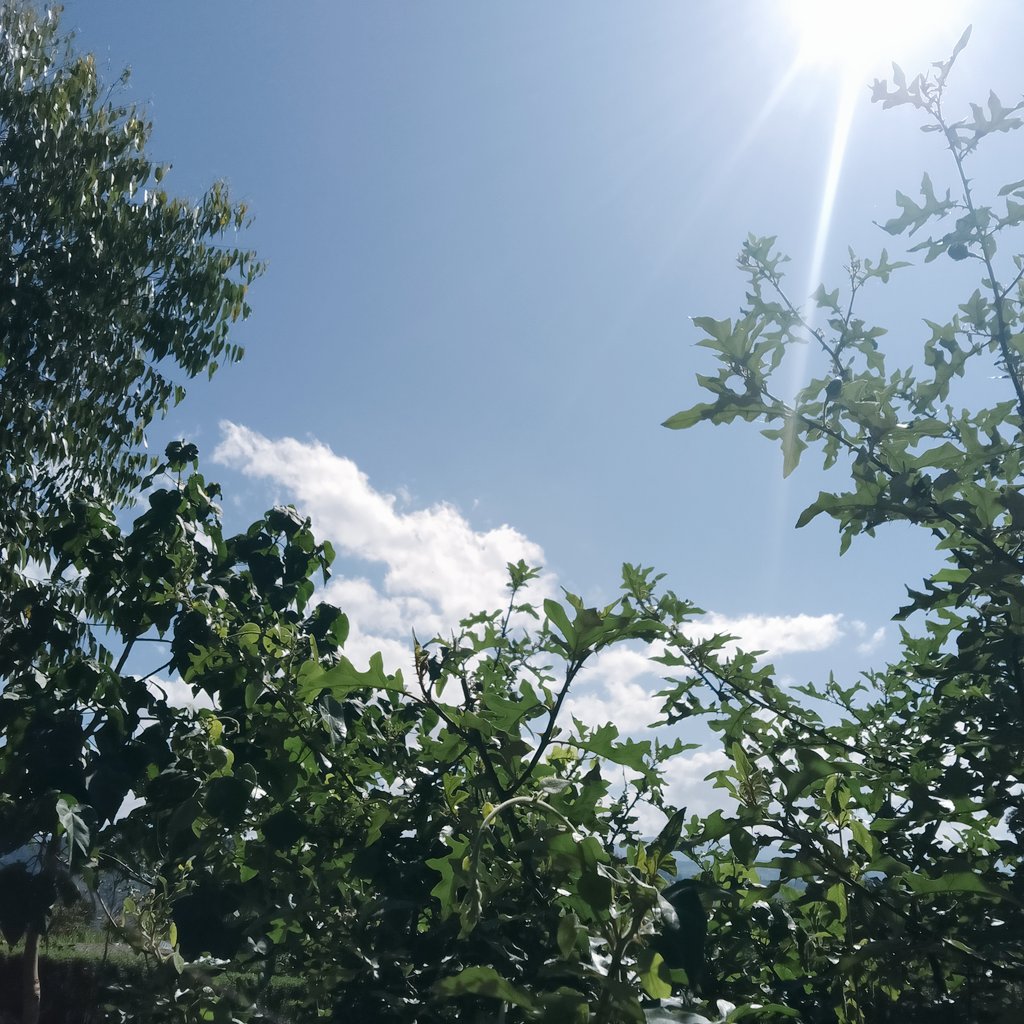 kimachu_'s tweet photo. Watching clouds.
Kamoi 📍 
EMC county. https://t.co/4a39Y9B7gm