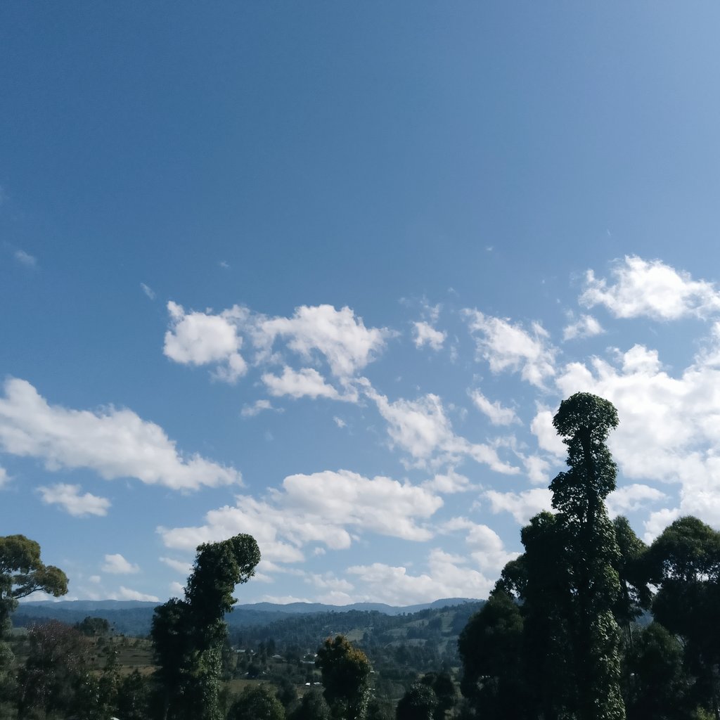 kimachu_'s tweet photo. Watching clouds.
Kamoi 📍 
EMC county. https://t.co/4a39Y9B7gm