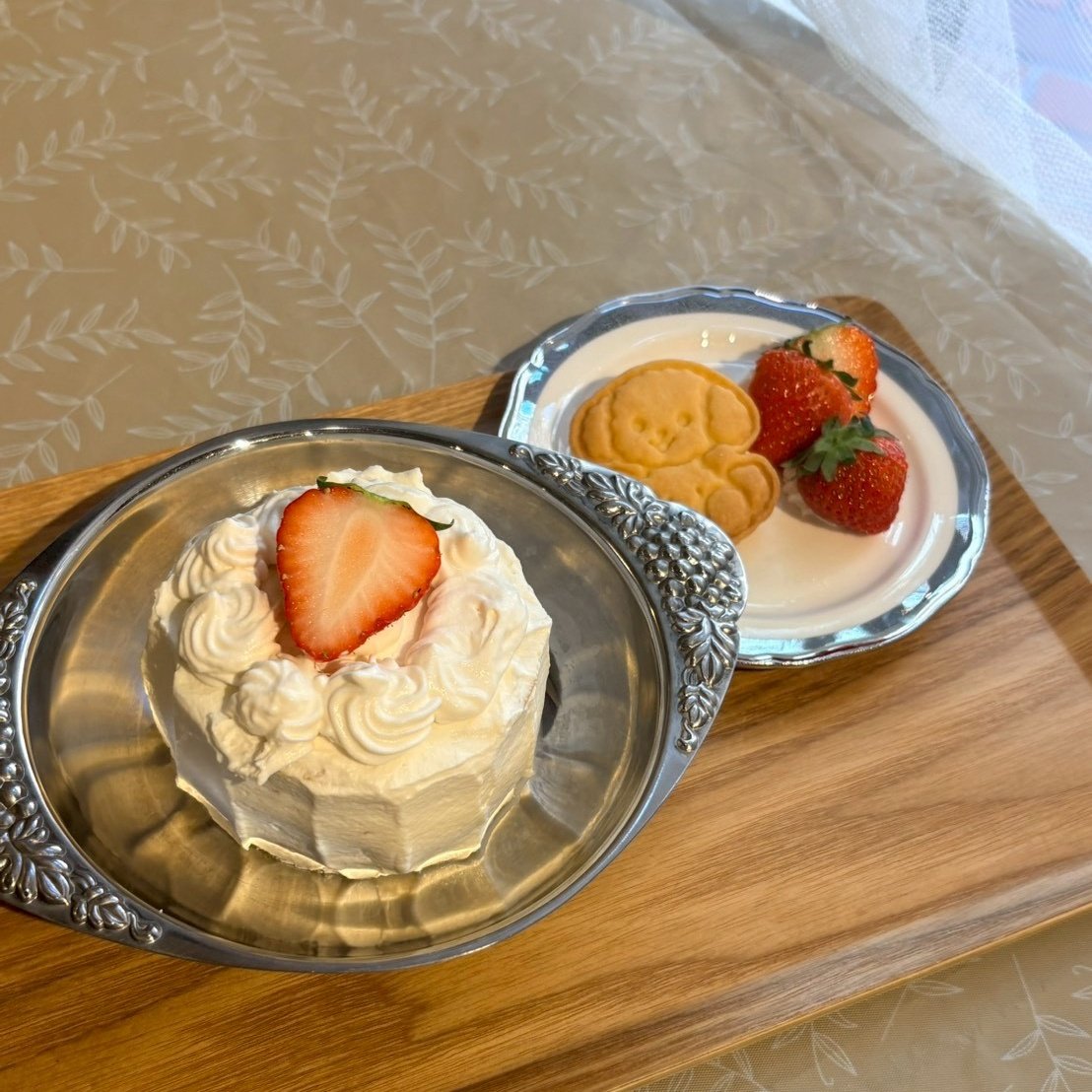 🍒かわいいたべもの屋さん🍒メイド博D-11⭐️ tweet media