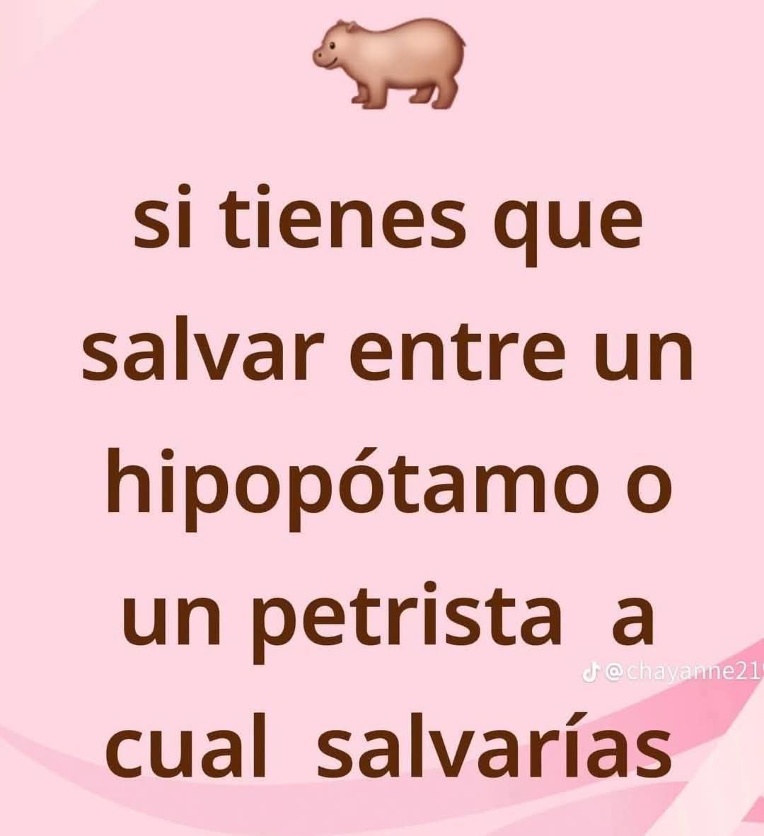 PolitiCrack, tweet media