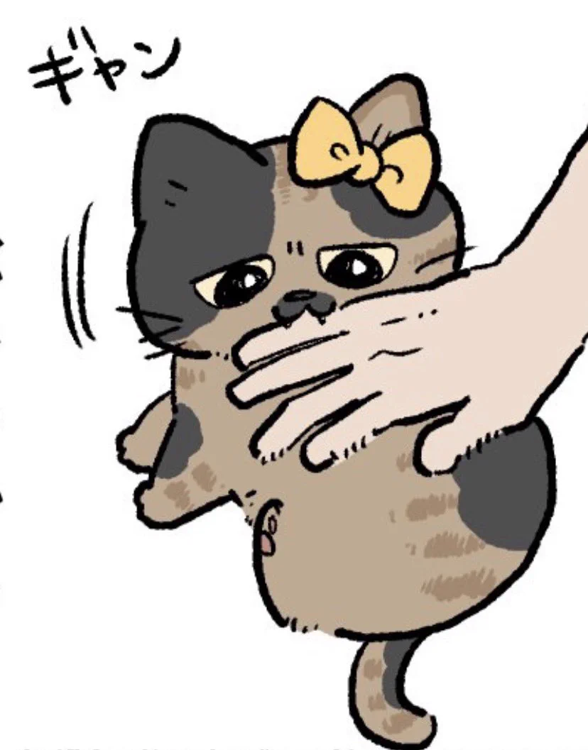 やじま@ねこおじ7・8巻発売中🐱 on X: 